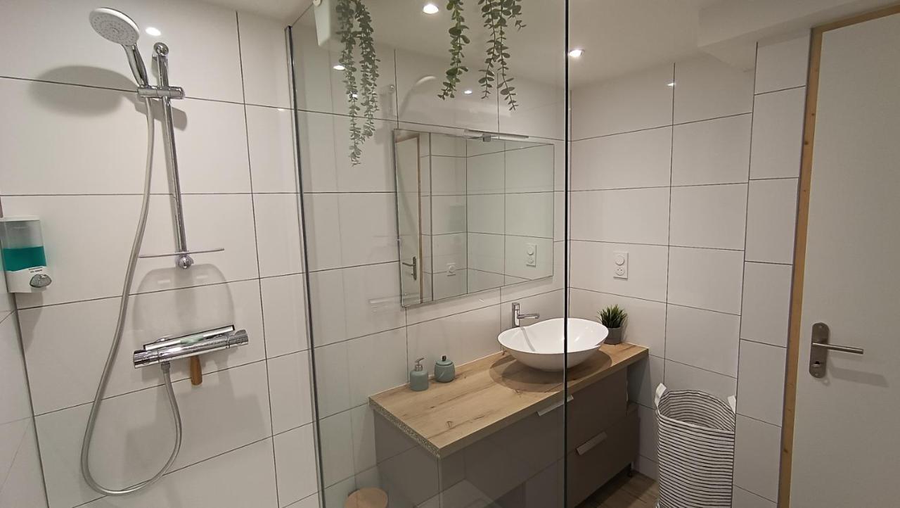 Refuge Des Myosotis - Proche Chambery - Jardin - Calme - Cosy Apartment Barberaz Exterior photo