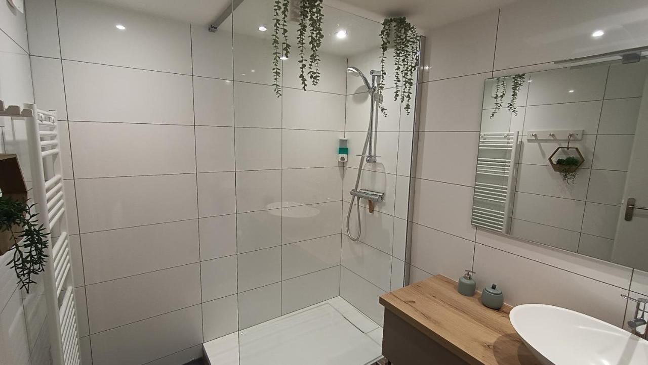 Refuge Des Myosotis - Proche Chambery - Jardin - Calme - Cosy Apartment Barberaz Exterior photo